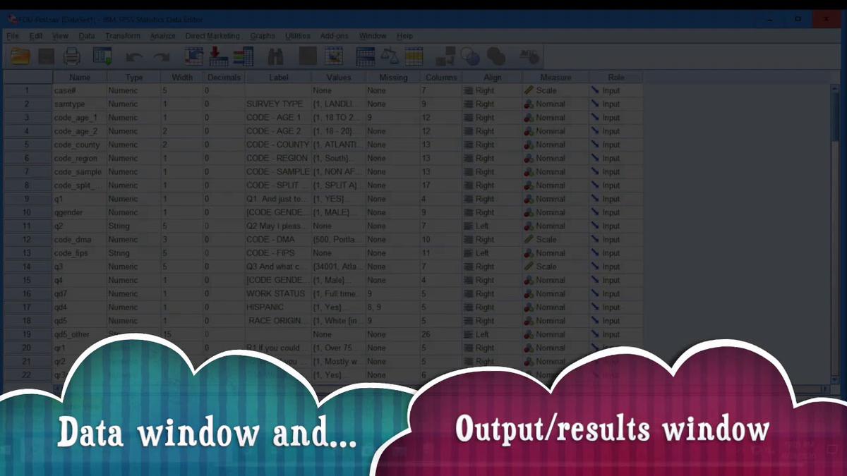 'Video thumbnail for Intro to New Datasets in SPSS'